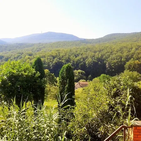 Anna Apartman *